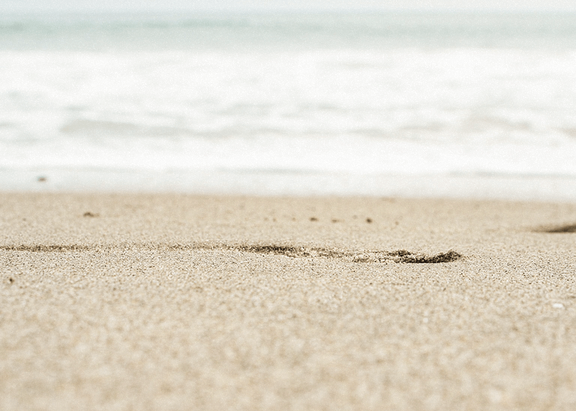 Mein Weg zu »Slow Business«: Entspannt erfolgreich mit einer Selbstständigkeit ohne Stress