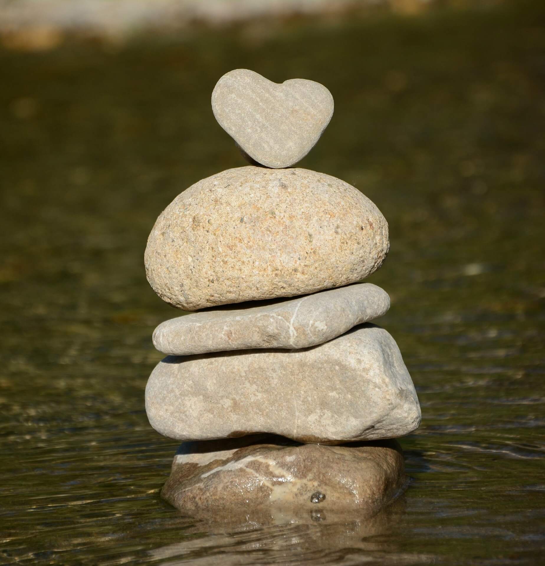 Slowbook Achtsamkeit im Business Achtsame Selbstführung für selbstständige Frauen SLOWPRENEUR Anna Niermann Slow Business Mentoring Selbstcoaching Achtsame Onlinekurse