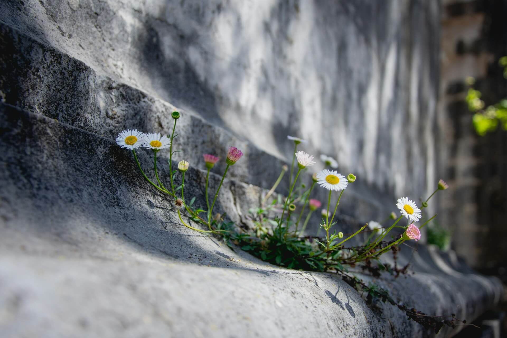 slowpreneur-slow-journal-slow-business-blog-selbstkenntnis-selbstständige Selbstkenntnis Selbstständige – Der Slow Business Blog von SLOWPRENENEUR